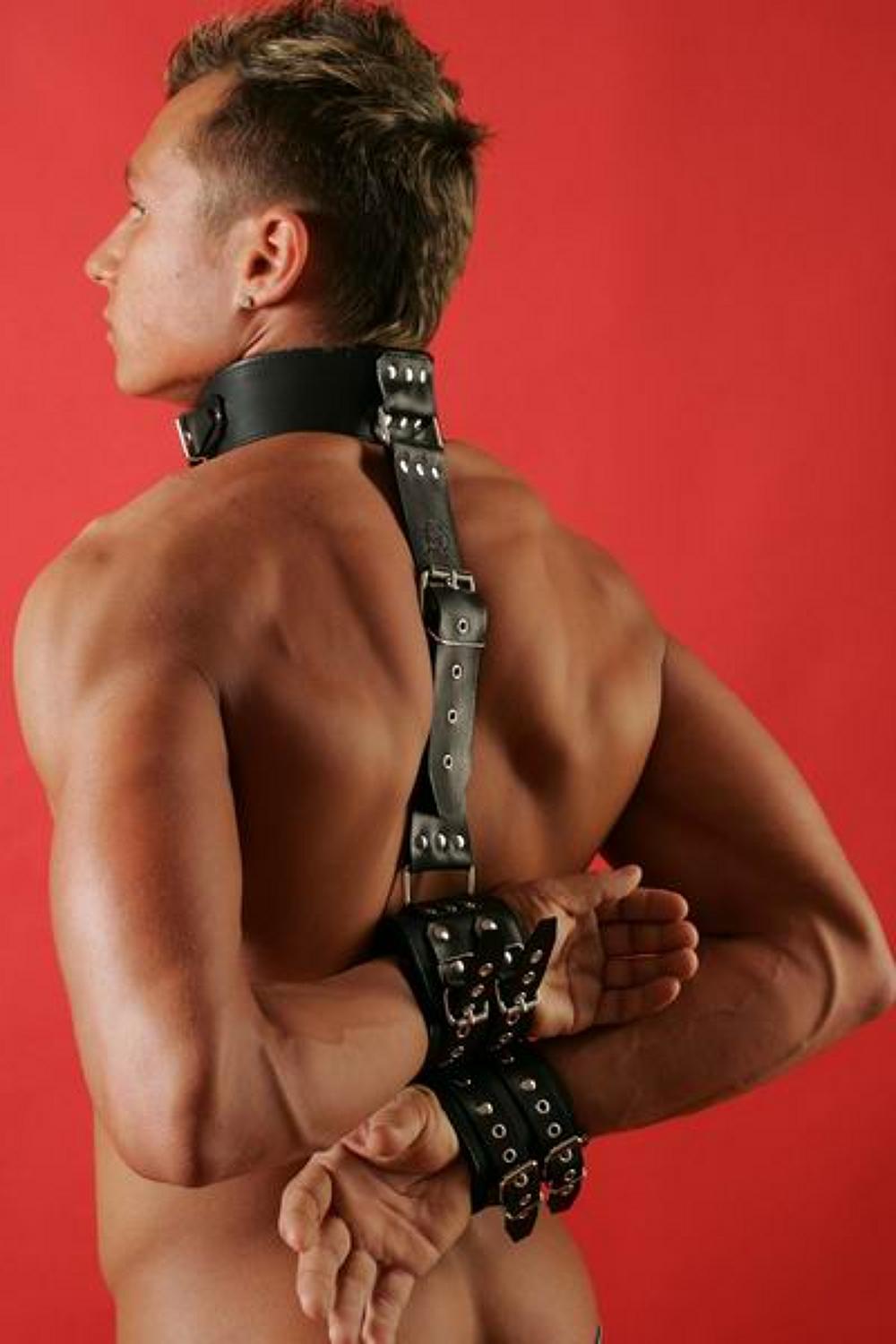 Шлейка мужская  купить со скидкой в секс шопе  Фетиш и BDSM  Фетиш-белье